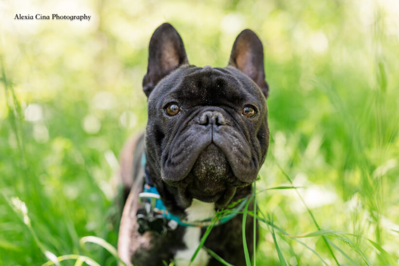 Kieran Kieran