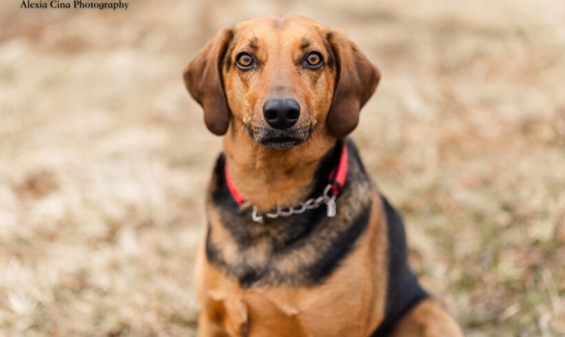 Zuko