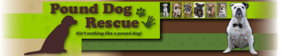 Pound Dog Rescue banner showing dogs we have rehomed.